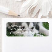 Slapen Husky Hond Mailing Label (Insitu)