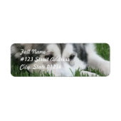 Slapen Husky Hond Mailing Label (Voorkant)