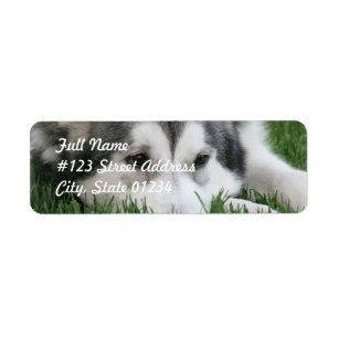 Slapen Husky Hond Mailing Label