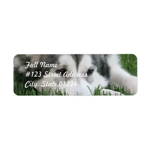 Slapen Husky Hond Mailing Label (Voorkant)