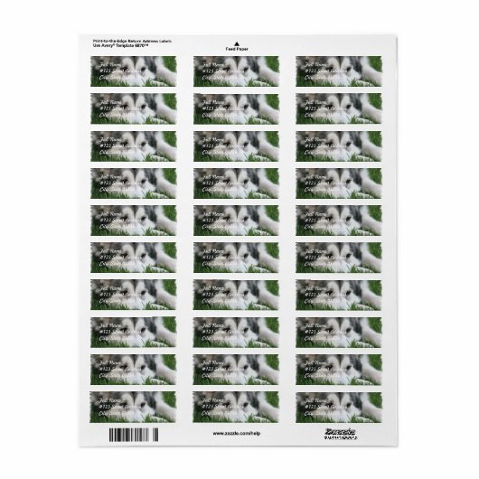 Slapen Husky Hond Mailing Label (Full Sheet)