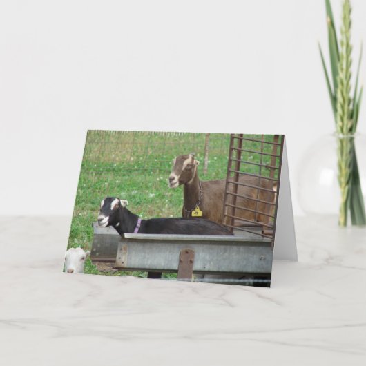 Slapen in mijn feeder kaart (Voorkant)