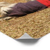 Slapen in Nong Khai Poster (Hoek)