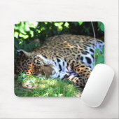 Slapen Jaguar Muismat (Met muis)