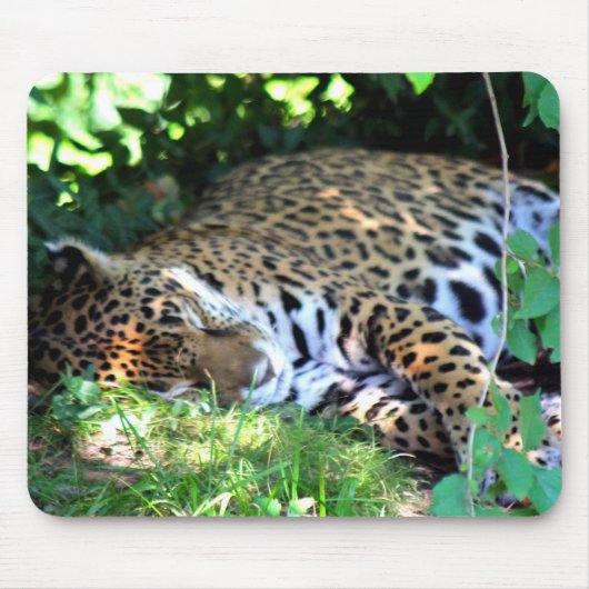 Slapen Jaguar Muismat (Voorkant)