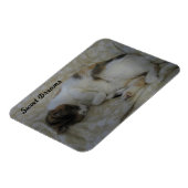 Slapen kat-zoete dromen magneet (Linkerzijde)