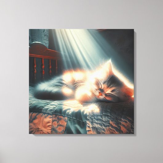 Slapen kitten in zonlicht canvas afdruk (Voorkant)