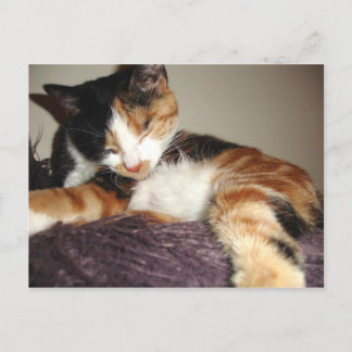 Slapen? Nee, ik sluit gewoon mijn ogen. Briefkaart