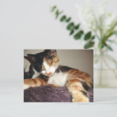 Slapen? Nee, ik sluit gewoon mijn ogen. Briefkaart (Staand voorkant)