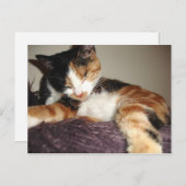 Slapen? Nee, ik sluit gewoon mijn ogen. Briefkaart (Voorkant / Achterkant)