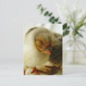 Slapen op de baan briefkaart (Staand voorkant)