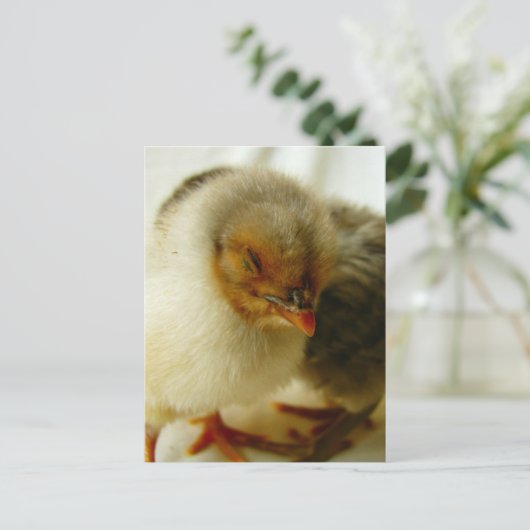 Slapen op de baan briefkaart (Staand voorkant)