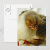 Slapen op de baan briefkaart (Voorkant / Achterkant)