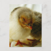 Slapen op de baan briefkaart (Voorkant)