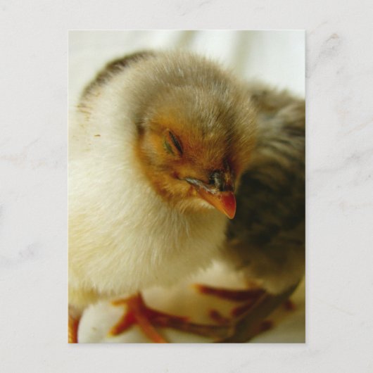 Slapen op de baan briefkaart (Voorkant)