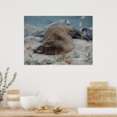 Slapen op de rotsen poster (Keuken)