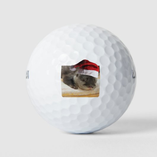 Slapen-Otter Golfballen (Voorkant)