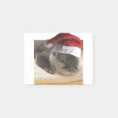 Slapen-Otter Post-it® Notes (Voorkant)