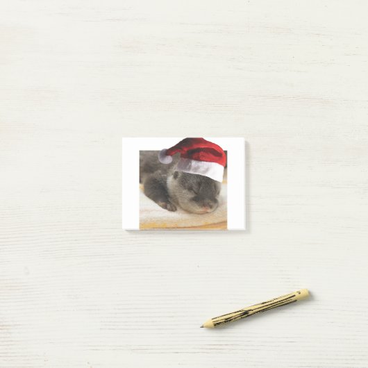 Slapen-Otter Post-it® Notes (Op bureau)