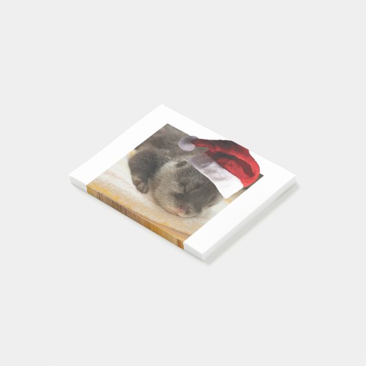 Slapen-Otter Post-it® Notes (Schuin)