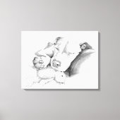 Slapen Pitbull Schets Canvas Afdruk (Voorkant)