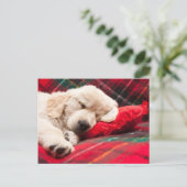 Slapen Puppy Op Plaid Briefkaart (Staand voorkant)