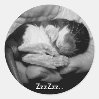 Slapen Rattie Sticker