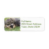 Slapen Schnauzer Hond Mailing Label (Voorkant)