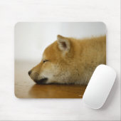Slapen Shiba-ken 3 Muismat (Met muis)