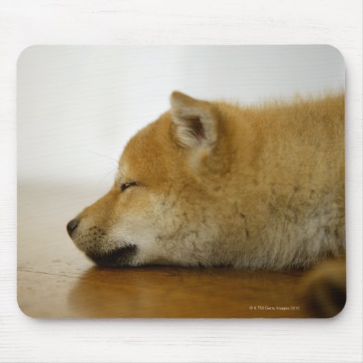 Slapen Shiba-ken 3 Muismat (Voorkant)