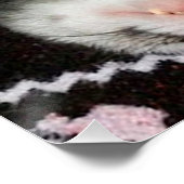 Slapen van freten en katten perfect poster (Hoek)