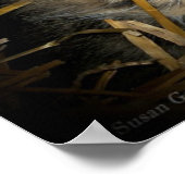 Slapen van letterlijk katje in bed van straatfoto poster (Hoek)