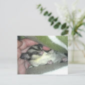 Slapen van suikerglider in mandje briefkaart (Staand voorkant)