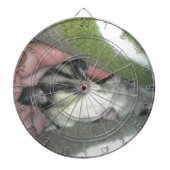 Slapen van suikerglider in mandje dartbord (Voorkant)