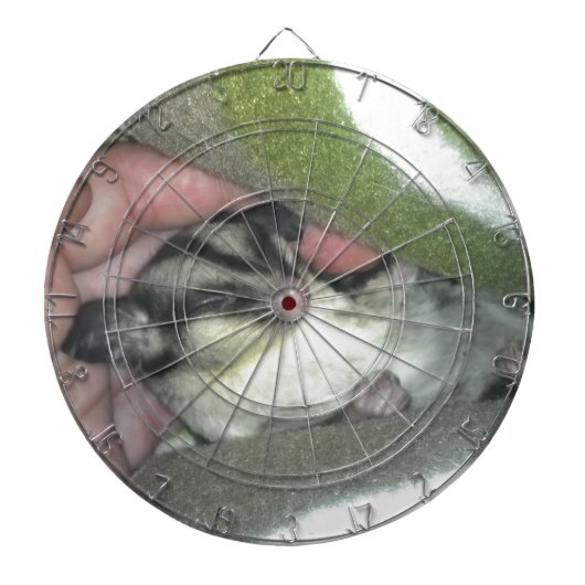 Slapen van suikerglider in mandje dartbord (Voorkant)