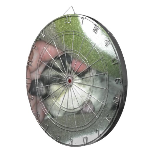 Slapen van suikerglider in mandje dartbord (Voorkant Rechts)