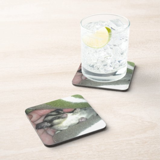 Slapen van suikerglider in mandje drankjes onderzetter (Rechterzijde)