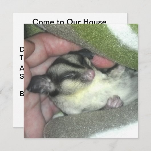 Slapen van suikerglider in mandje kaart (Voorkant / Achterkant)