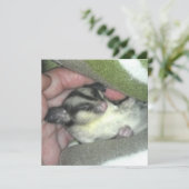 Slapen van suikerglider in mandje kaart (Staand voorkant)