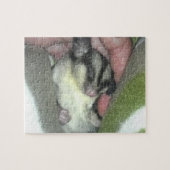 Slapen van suikerglider in mandje legpuzzel (Horizontaal)