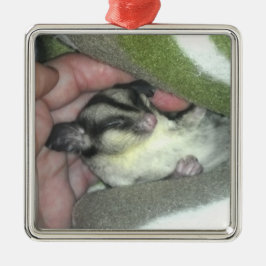 Slapen van suikerglider in mandje metalen ornament