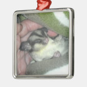Slapen van suikerglider in mandje metalen ornament (Links)