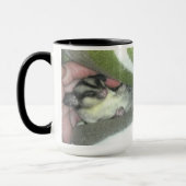 Slapen van suikerglider in mandje mok (Links)