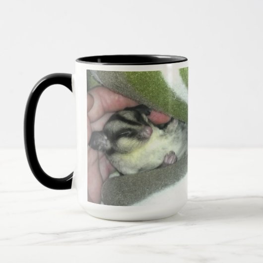 Slapen van suikerglider in mandje mok (Links)