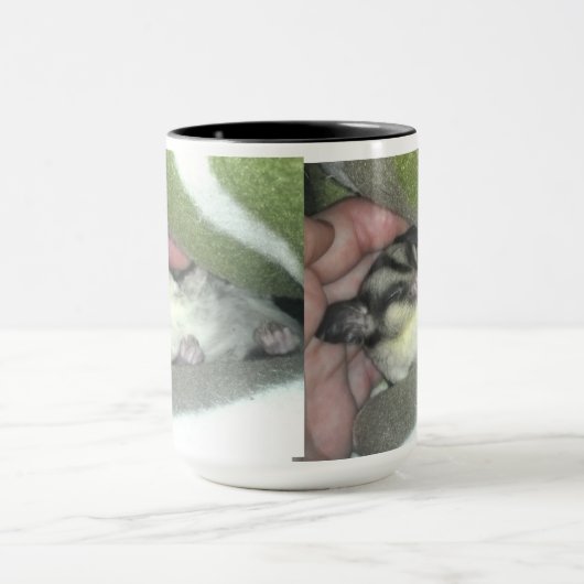 Slapen van suikerglider in mandje mok (Midden)