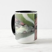 Slapen van suikerglider in mandje mok (Voorkant links)