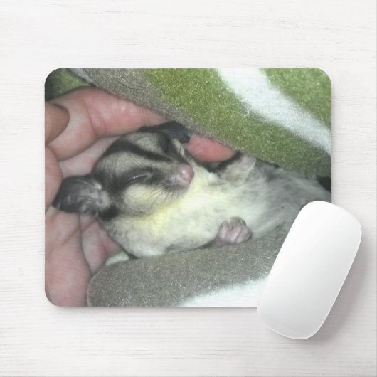 Slapen van suikerglider in mandje muismat (Met muis)