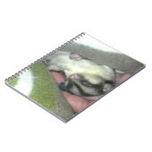 Slapen van suikerglider in mandje notitieboek (Linkerzijde)