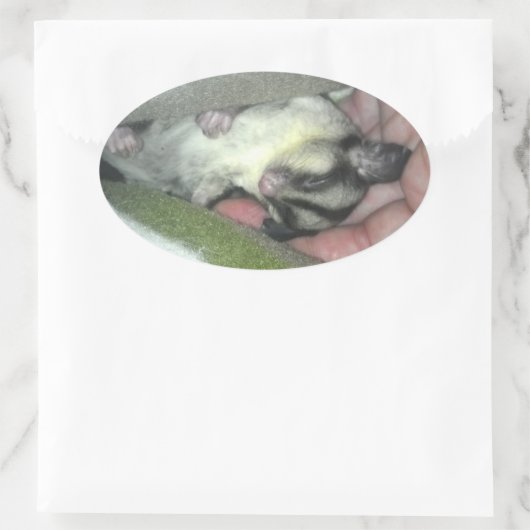 Slapen van suikerglider in mandje ovale sticker (Tas)