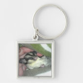 Slapen van suikerglider in mandje sleutelhanger (Voorkant)